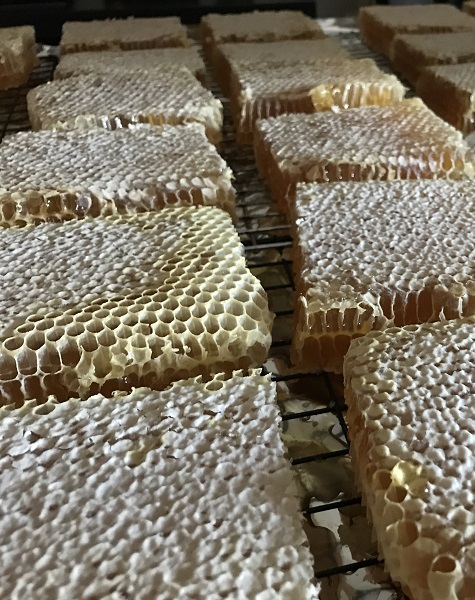 Cut Comb Honey Preparation